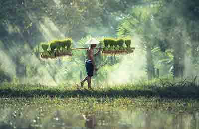 鄉村社會治理水平