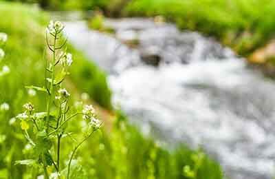 生態(tài)環(huán)保論文