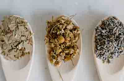 中藥資源與開發教學研究