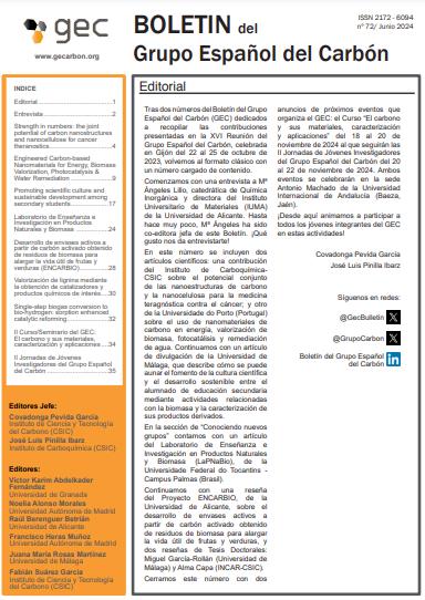 Boletin Del Grupo Espanol Del Carbon