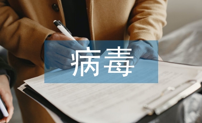 計(jì)算機(jī)網(wǎng)絡(luò)安全與病毒防范