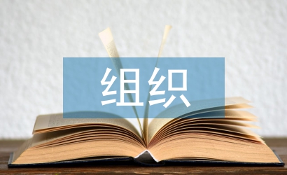 管理學組織論文