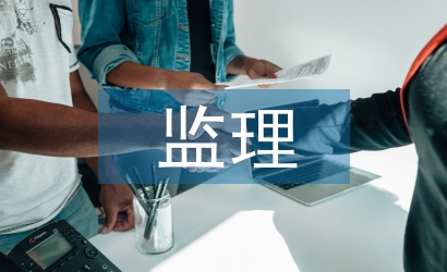 監理投資控制措施