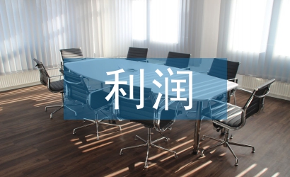 財(cái)務(wù)報(bào)表的利潤