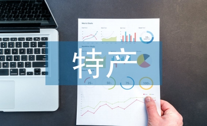 電子商務特產銷售系統技術分析