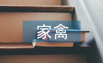 家禽養(yǎng)殖業(yè)污染及防治策略