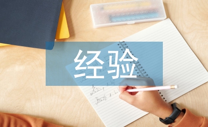 經濟責任審計經驗