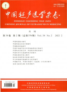 中國超聲醫學雜志