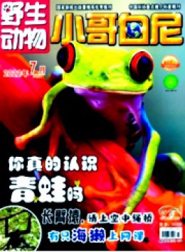 小哥白尼·野生動物畫報